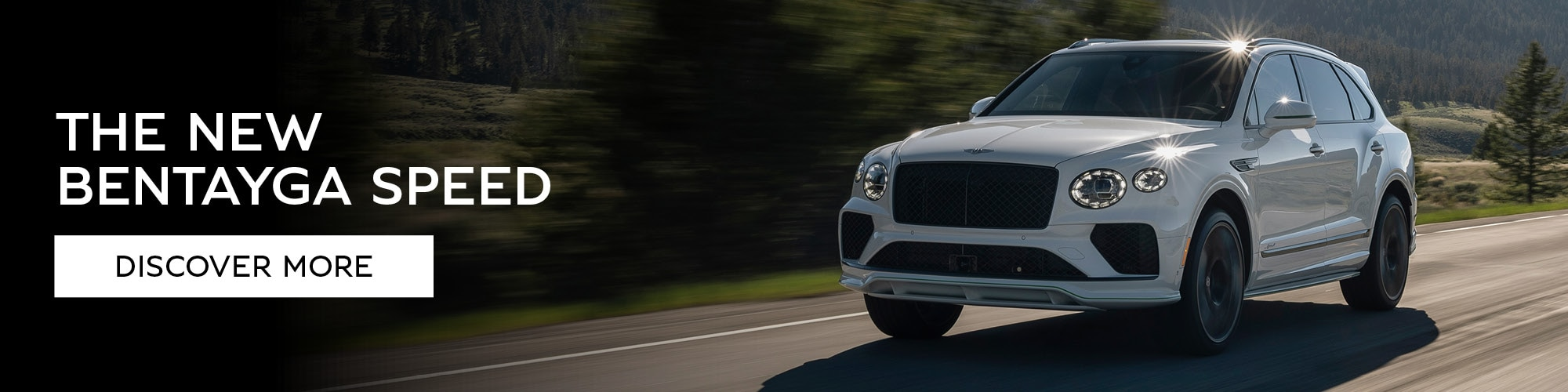 New Bentayga Speed at Bentley San Francisco in San Rafael CA